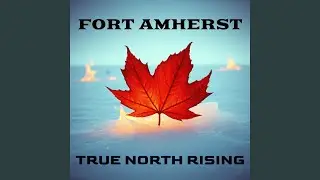 The Northern Sky Serenade
