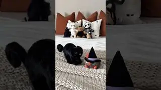 ✨ Halloween Jellycat Unboxing ✨Meet the spooky duo! #jellycat #unboxing #halloween #aesthetic