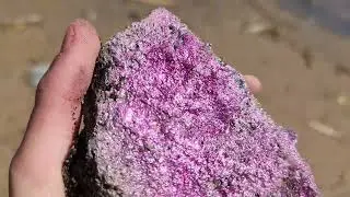 Anaya Balade dans la nature