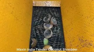 Tender coconut Shredding, Tender Coconut Crushing, Tender Coconut Cutting, Green Coconut Shredder,