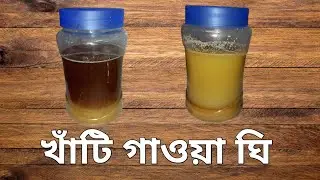 দুধের সর থেকে খাঁটি গাওয়া ঘি বানানো রেসিপি #Pure ghee making process  @IshaCreativeVideo