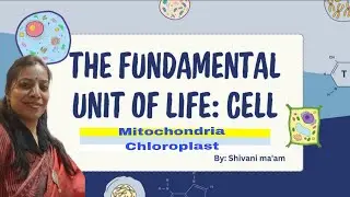 CELL ORGANELLES: Mitochondria & Chloroplast... Class 9 CBSC biology ncert based by bioXplained