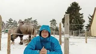 🎬 🐫 Ein paar Worte von Sebastian zur geplanten Serie vom Kamelhof