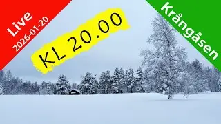 Tisdagslive - Precis som vanligt kl 20.00
