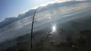 Seward Alaska Salmon Run | Sunrise part 4