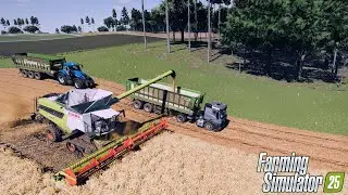 FS25 Realistic Graphics | Claas Lexion 8900 Wheat Harvest | Reshade Gameplay