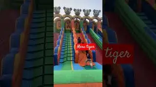 tiger#fitness #girl #masti #shortvideo #funny #subscribe #baby #cute #games #play #song #bollywood