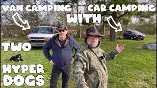 New Challenge Car Camping With Two Hyper Dogs