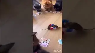 19 января 2019 год