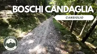 Esplorazione Boschi del Candaglia - Cansiglio - MTB 4K