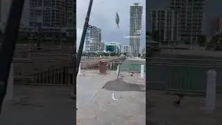 Fishing time . Miami Florida