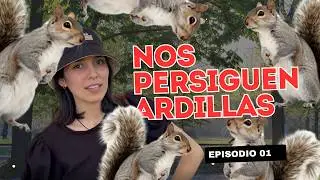 Una tarde en el parque (Nos persiguen las ardillas gigantes)