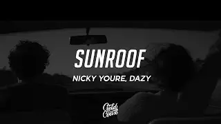 Nicky Youre, dazy - Sunroof (Lyrics)
