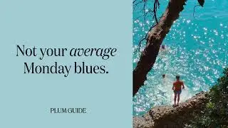 Back to work already? Plan your escape