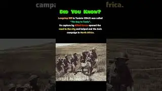 The Hill That Decided North Africa | Battle of Longstop Hill #ww2