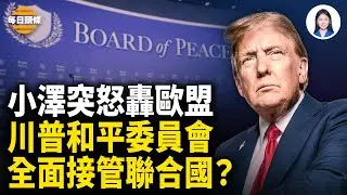 小澤憤怒點名歐盟失能！指川普真正幫烏克蘭；美國正式退世衛被催繳欠款，大佈局！川普稱要與聯合國合作【每日頭條】