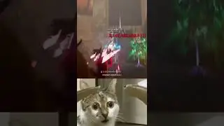 Testing 2 Billion Damage!!! I think my Game Broken