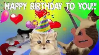 BIRTHDAY HONORS FOR SASHA  THEFUSSYFELINE