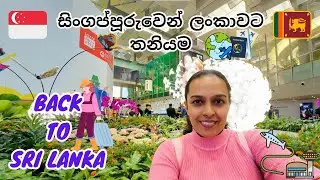 Back to Sri Lanka 🇱🇰 after 1 year  - සිංගප්පූරුවෙන් ලංකාවට තනියම ආපු හැටි