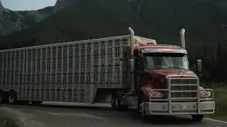Our Story - Steve's Livestock Transport