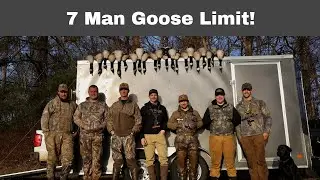 7 Man Goose Limit! Goose Hunting 2023!