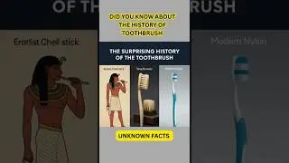 Ancient Chew Sticks & Hog Hair: The Evolution of the Toothbrush