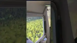 Drunk Crow Rescue #crow #drunk #mountains #rescue #msflightsimulator