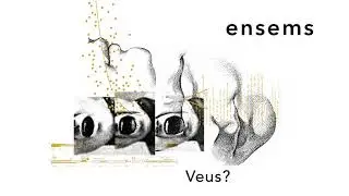 Ensems 2019