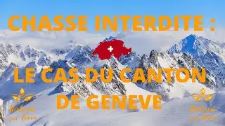Chasse interdite : Le cas du canton de Gen&egrave;ve