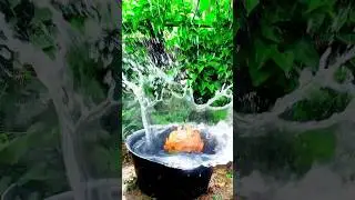 Falling coconut fruit and rainy effects cinematic #nature #amazing #viral #funny #photography