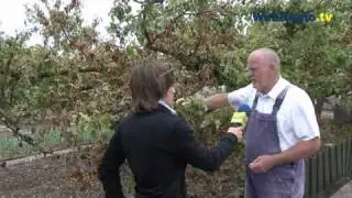 Dood en verderf gezaaid in volkstuintjes