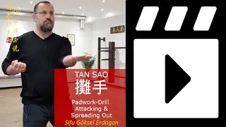 Online video VingTsun (Wing Chun) Tan Sao Training. 