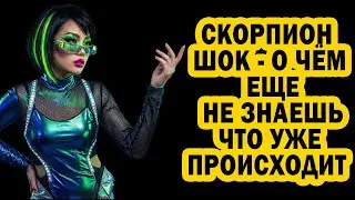 Скорпион Богатей никого не бойся! Всё изменится за 5 дней! Кармический бумеранг летит к врагам