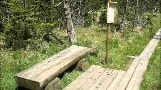 Wandern von Lechbruck zur Wieskirche und zurück