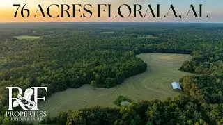 76 Acres Florala, AL - SOLD