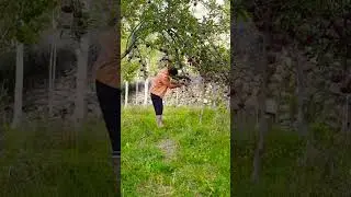 Apple fruit farm | Fresh apples | Heavenly pakistan #shorts #fruits