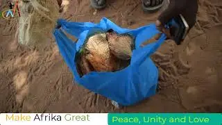 Bill Gates told Africa 