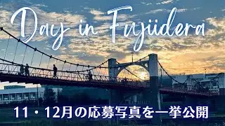 【写真募集中！】私のイチ推し　応募写真スライドショー（R7 11・12月分）