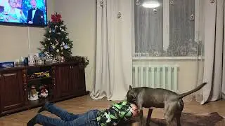 С Новым годом!