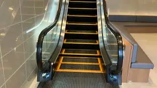 【東芝】1X エスカレーター ダイワロイネットホテル山形駅前 1X escalator Daiwa Roynet Hotel Yamagata Japan