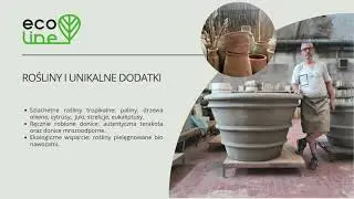 Wynajem roślin donic Tr&oacute;jmiasto Eco Line Gdańsk Sopot Gdynia