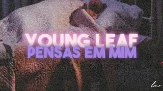 Young Leaf - Pensas em Mim (Lyric Video)