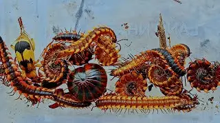 0072. Hunting cute  bugs, big red millipedes - Nature insects