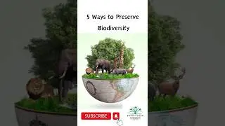 Biodiversity conservation | 5 ways to preserve Biodiversity #biodiversity #biologybloom