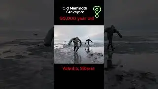 Old Mammoth Graveyard  #ancient #mammoth