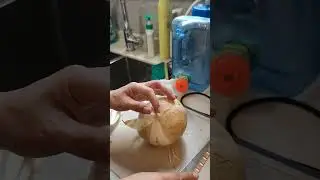 Satisfying Turnip Peeling #asmr #fruitrees #fruit #asmrfood