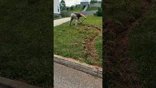 Creating a Flower Bed with Stone Borders