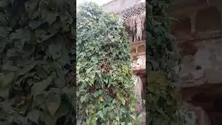 fathpur nadeipura.myhil