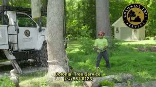 Colonial Tree Service TV Commercial. 2025. Based on the Peninsula ( Virginia)