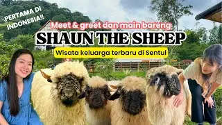 Wisata Baru SENTUL 2024: BUKIT DOMBA Shaun The Sheep! Baru 3 bulan langsung VIRAL!
